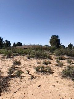 Before Wide Land Grass Clean Up — Alamogordo, NM — David's Landscaping Design LLC