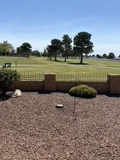 After Old Tree Removal — Alamogordo, NM — David's Landscaping Design LLC