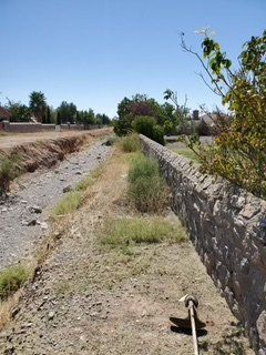 Before Small Grass on Ground Trimming — Alamogordo, NM — David's Landscaping Design LLC