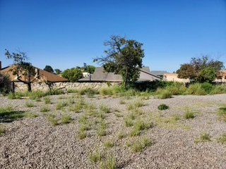Before Small Grass Trimming — Alamogordo, NM — David's Landscaping Design LLC