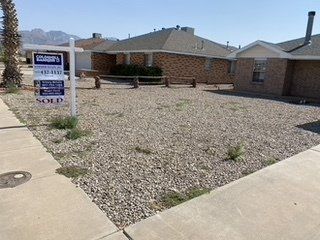Before Grass Removal on Stones — Alamogordo, NM — David's Landscaping Design LLC