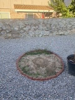 Before Landscaping Service — Alamogordo, NM — David's Landscaping Design LLC
