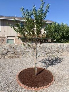 After Landscaping Service — Alamogordo, NM — David's Landscaping Design LLC