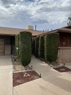 Before Tall Tree Trimming — Alamogordo, NM — David's Landscaping Design LLC
