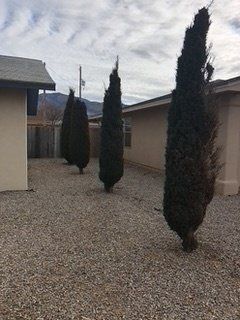 After Tree Installation — Alamogordo, NM — David's Landscaping Design LLC