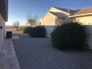Before Round Plant Trimming — Alamogordo, NM — David's Landscaping Design LLC