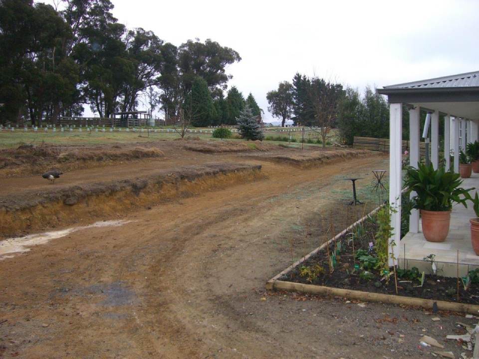 land cleared for landscaping