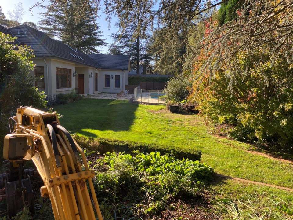 View of a residential lawn
