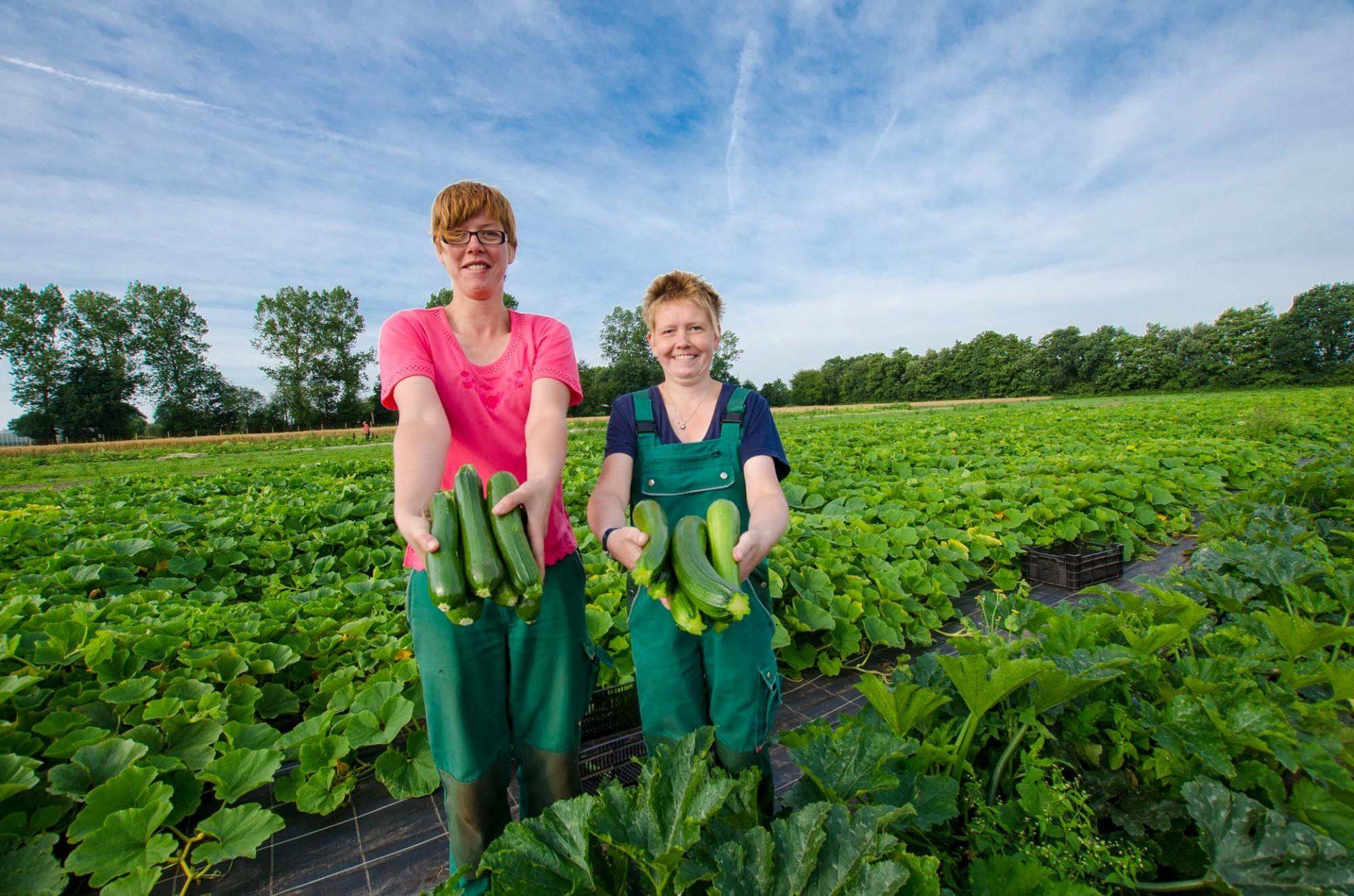 Zwei Frauen stehen mit Gurken in der Hand auf einem Feld.