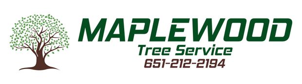 tree care in maplewood mn