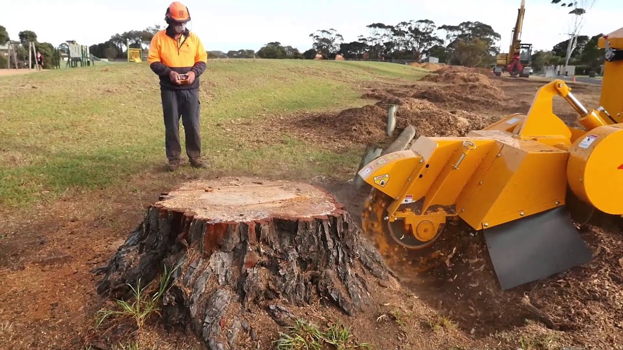 Stump Grinding mn