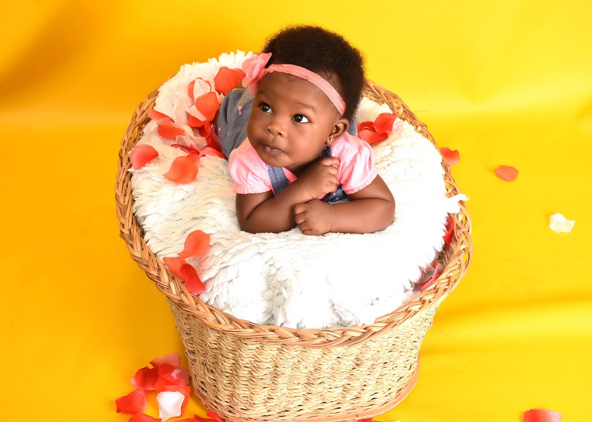 A baby is laying in a basket on a yellow background.