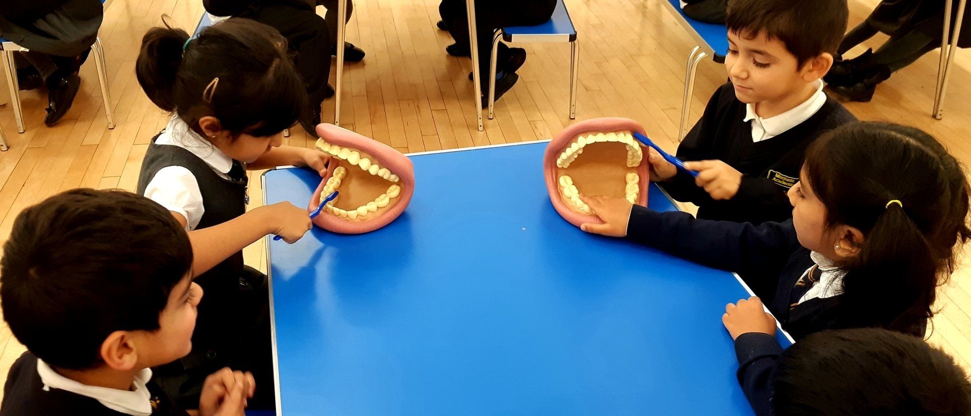 Learning abouth brushing teeth