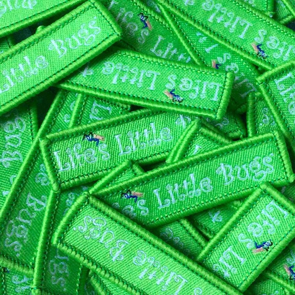 Life's Little Bugs Brownie Badge