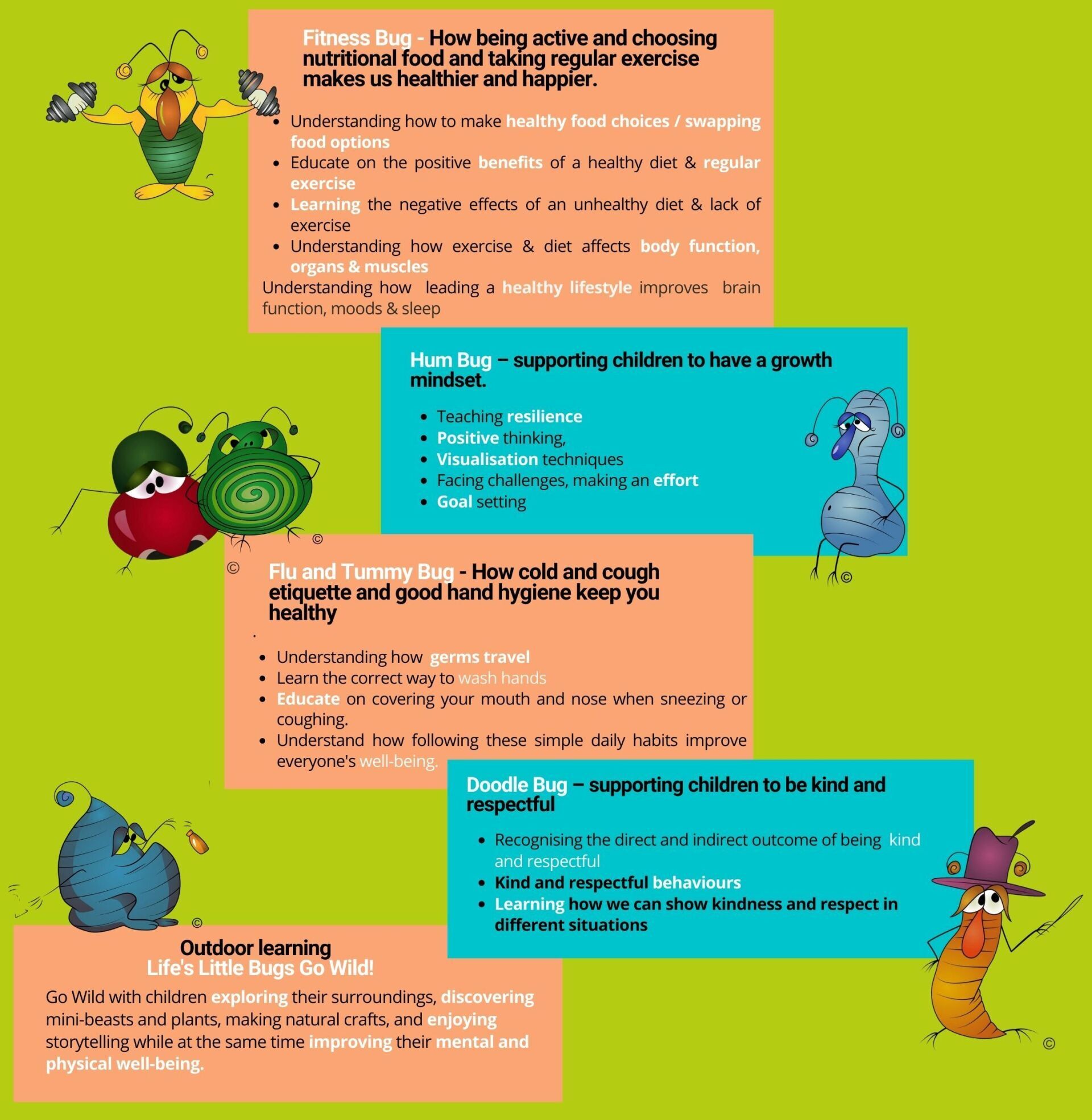 Details of Life's Little Bugs new online workshops