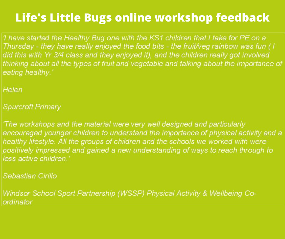 School testimonials on our online workshops School testimonials on our online workshops