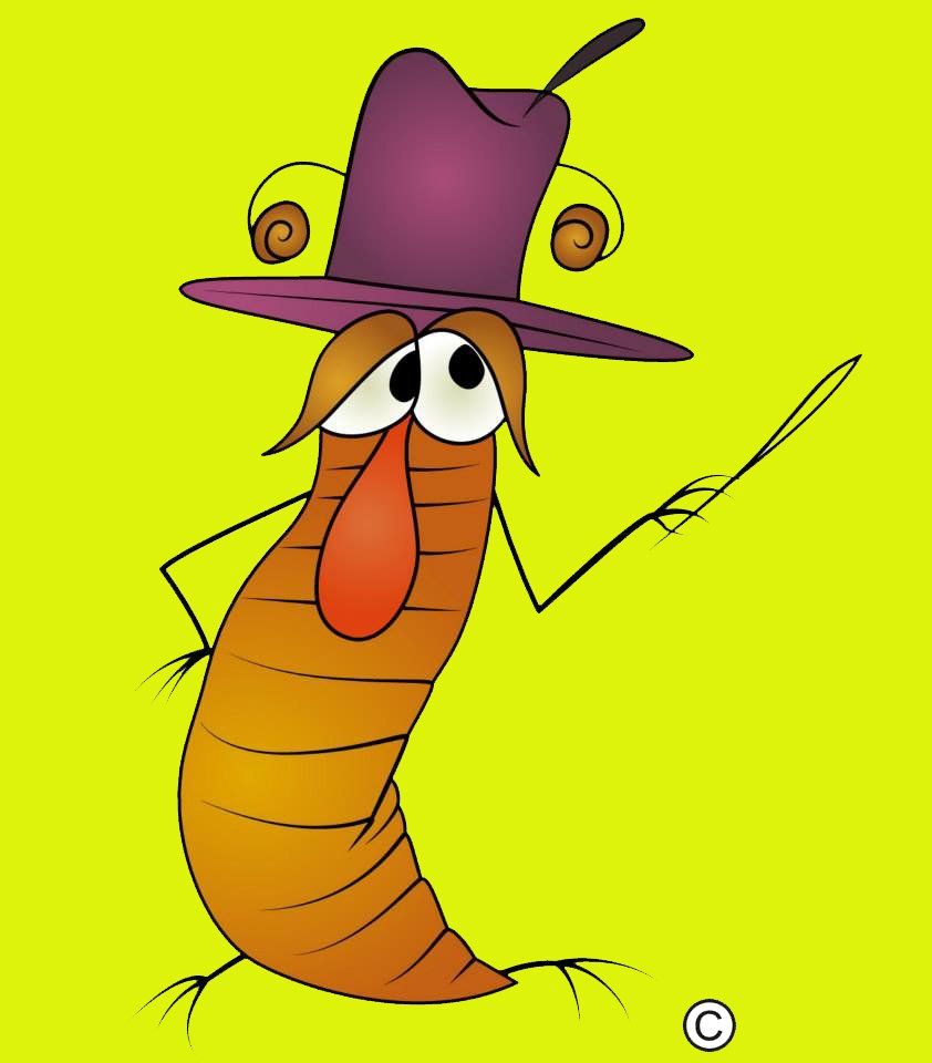 Litter Bug and Fly