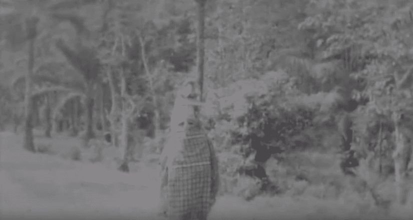 African Tribe & Witch Doctor
