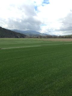 Turf — Sod Machine in North Hills, CA