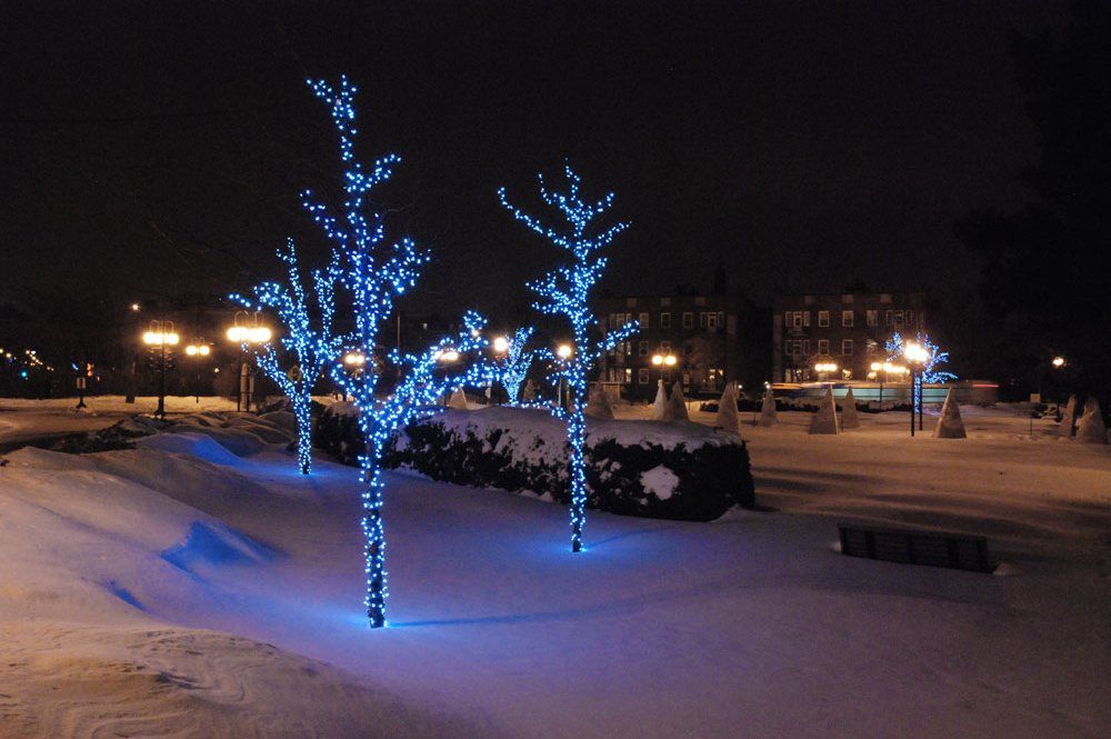 A snowy park with trees decorated with blue lights at night