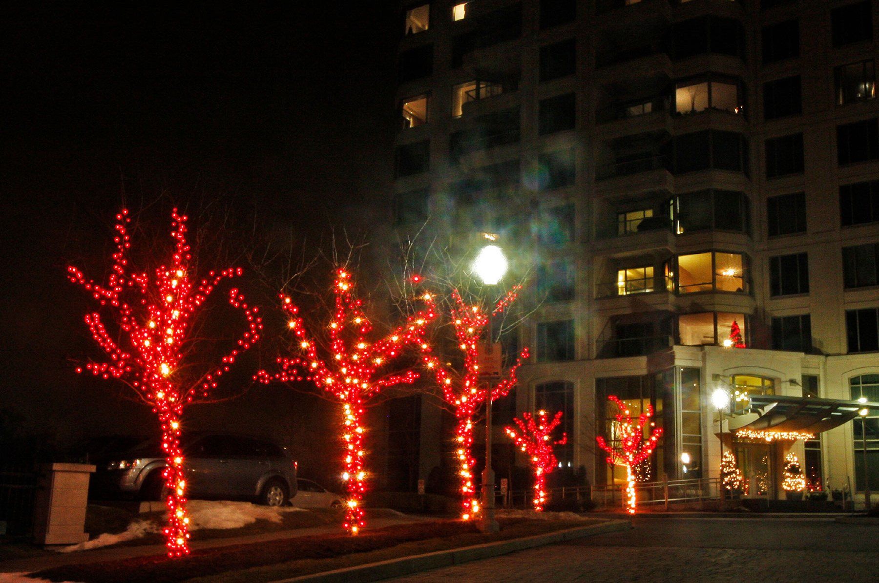 A row of trees decorated with red lights in front of a building at night.