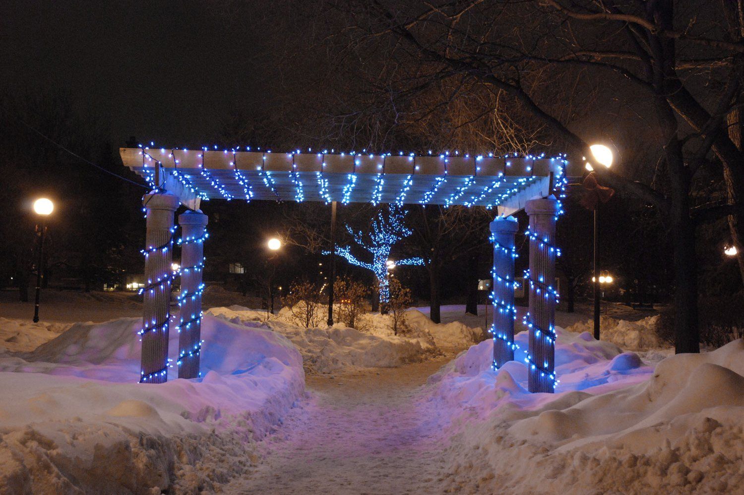 A pergola with blue lights on it in the snow