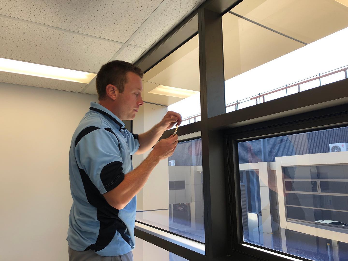 window tinting near me