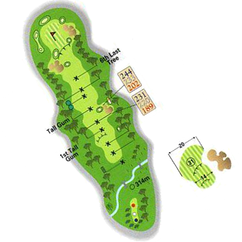Hole 9