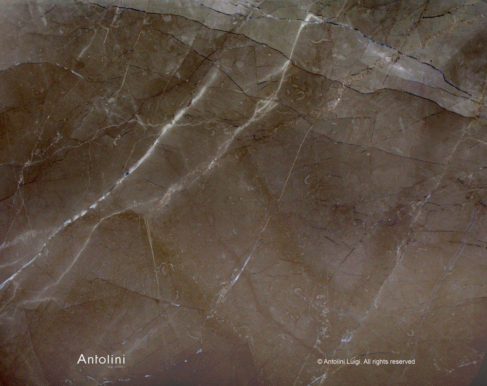 marmo marrone striato di bianco