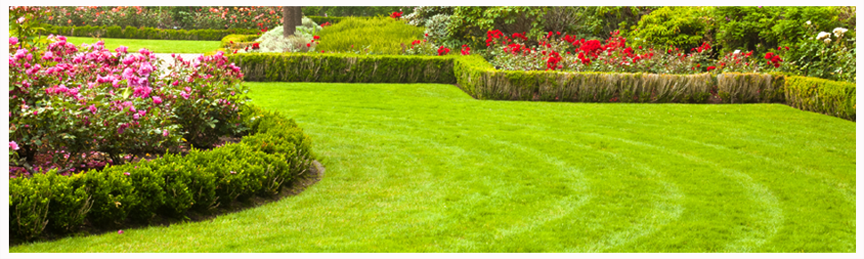 Garden Services