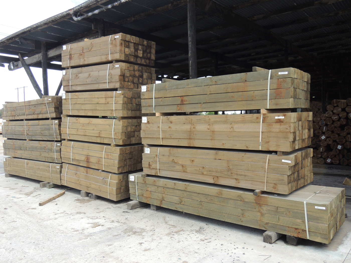 Square sawn house piles pages