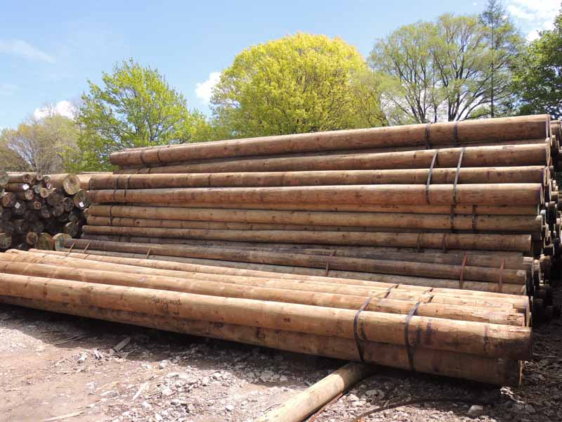 View of construction poles