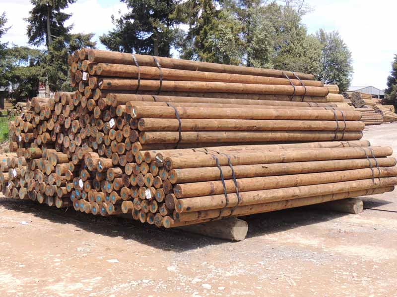 View of construction poles