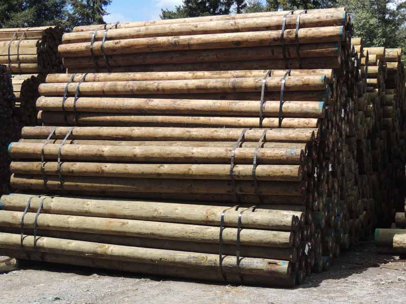 View of construction poles
