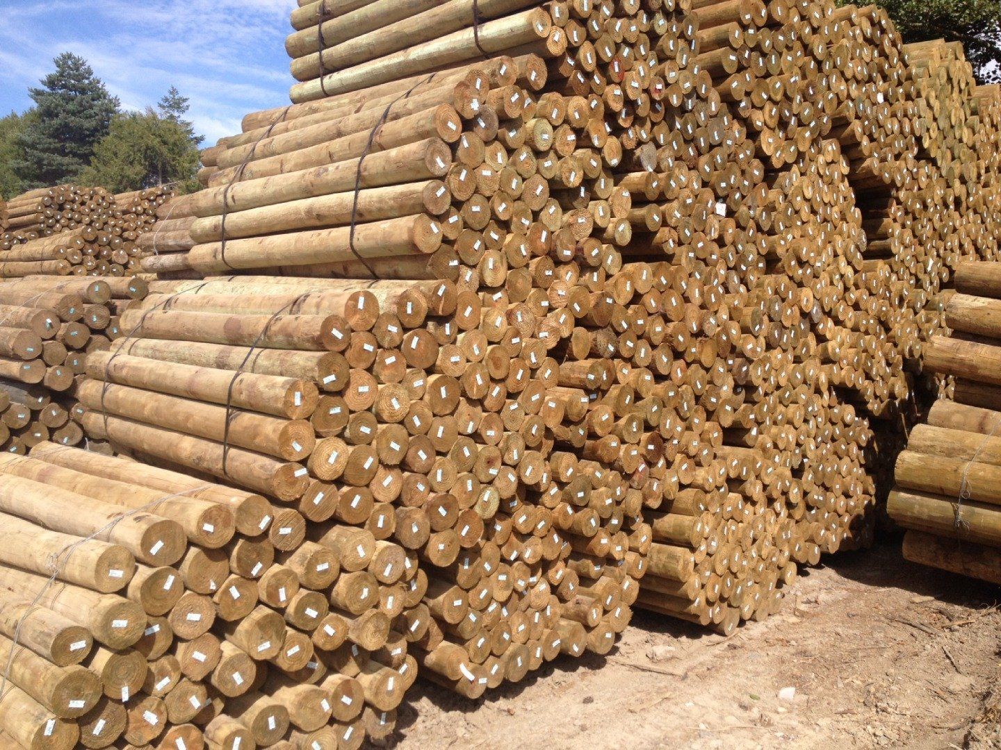 Roundwood Posts & Strainers