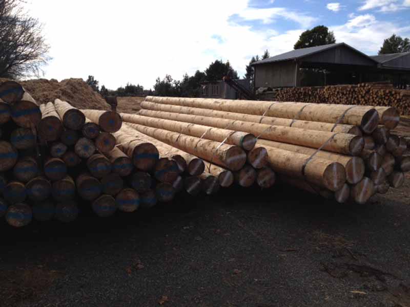 View of construction poles