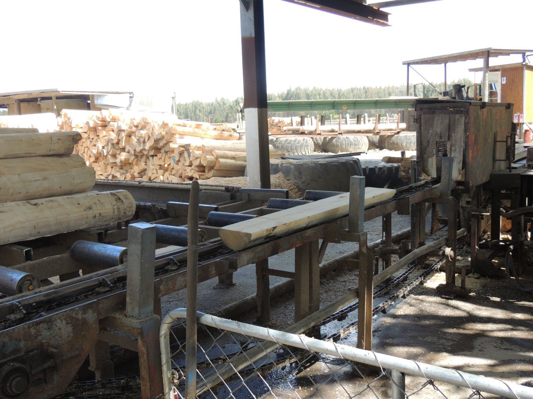 Our company's quality roundwood