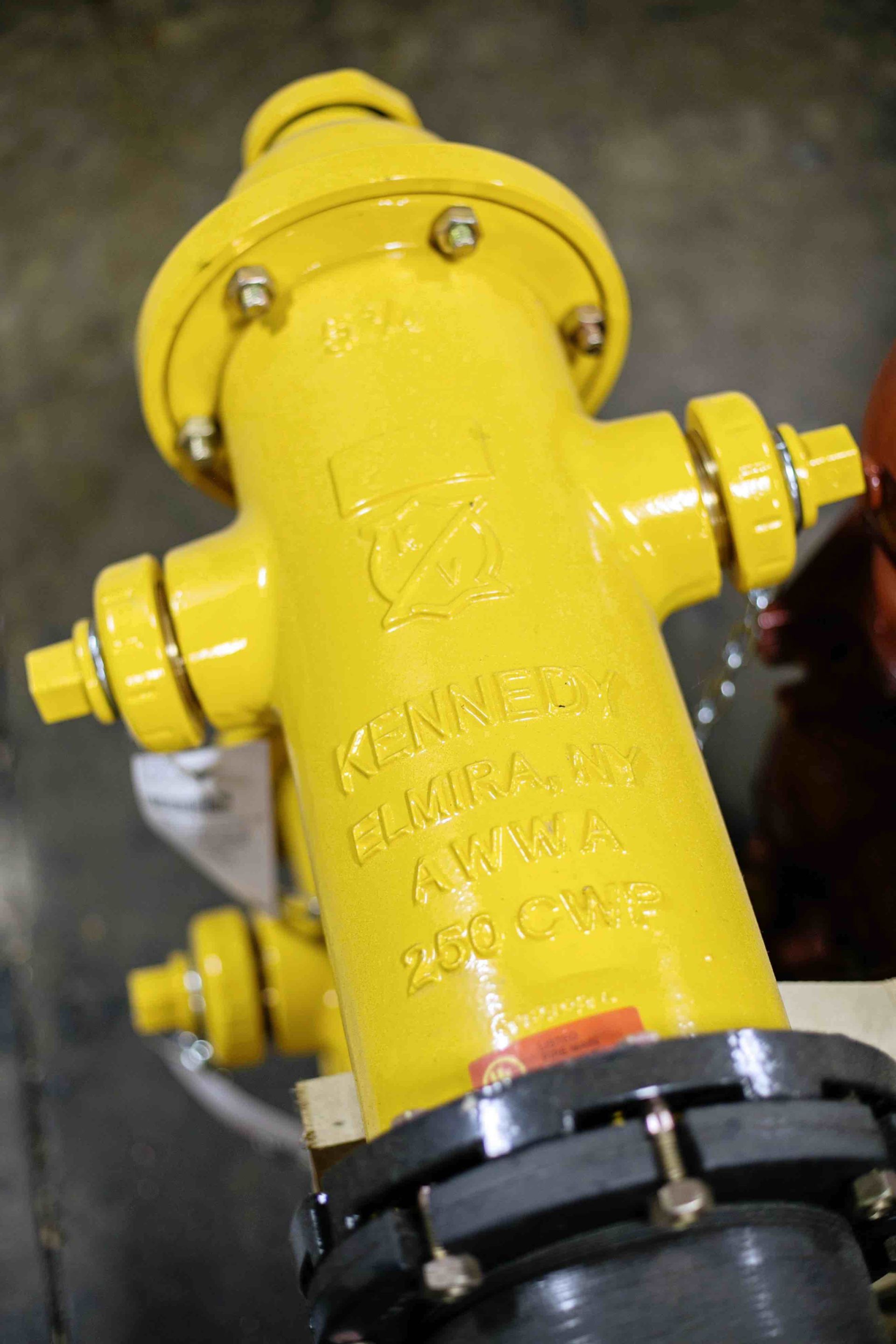 The Fire Hydrant