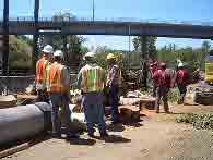 Tree Experts - Tree Restoration in Inglewood, CA Tree Experts - Tree Restoration in Inglewood, CA