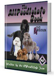 Poodle book