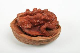 walnut cracked open