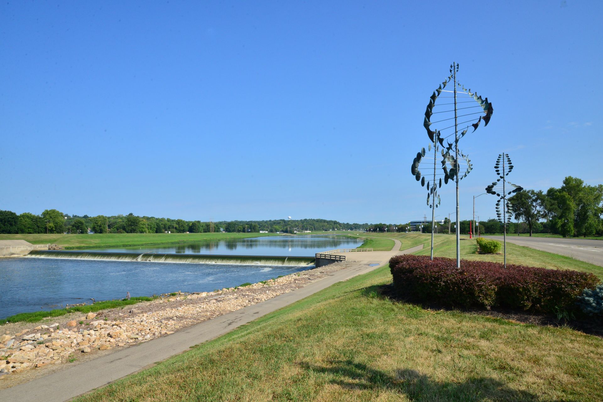 Wind Forest #25 - Lyman Whitaker