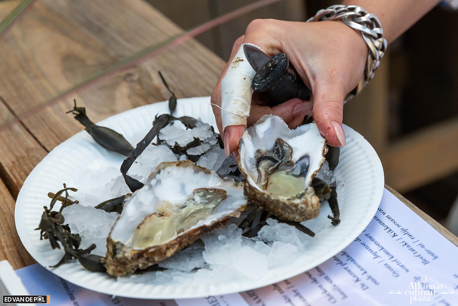 Oesters