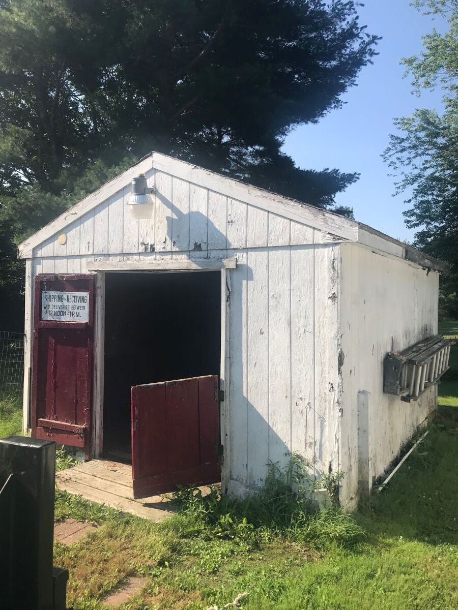 Old Shed Removal 
