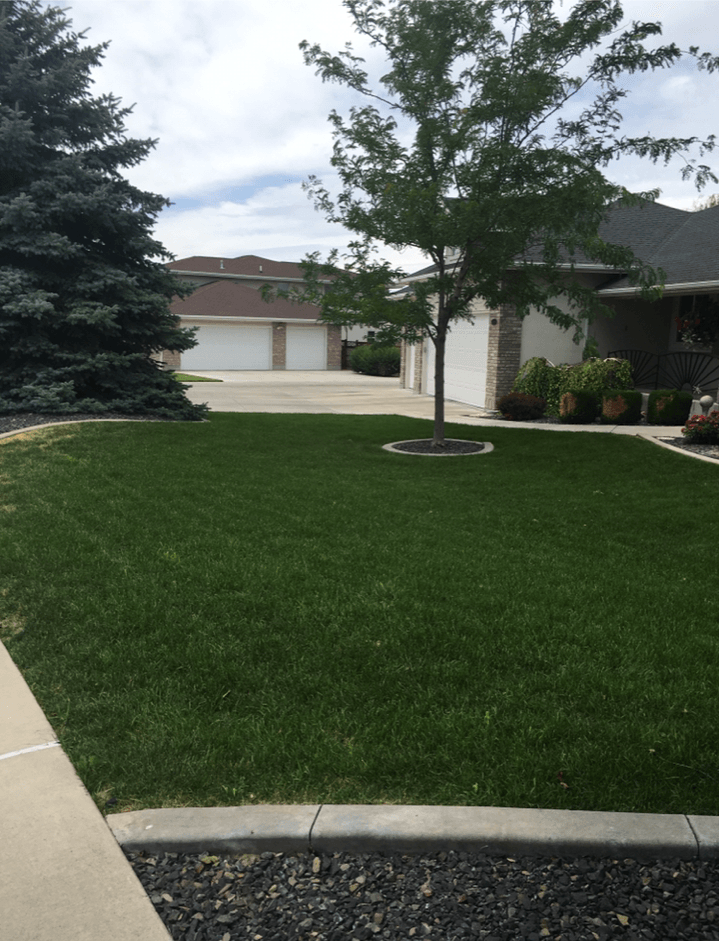 Turf Building — Garden in Twin Falls, ID Turf Building — Garden in Twin Falls, ID