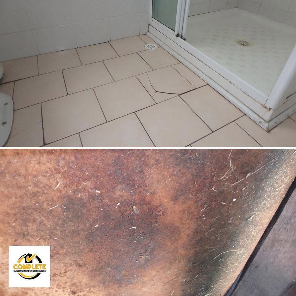 Damaged Flooring — Complete Building Inspections in Kembla Grange NSW
