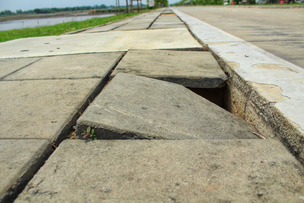 Damaged Concrete Tiles — Complete Building Inspections  in Kembla Grange NSW