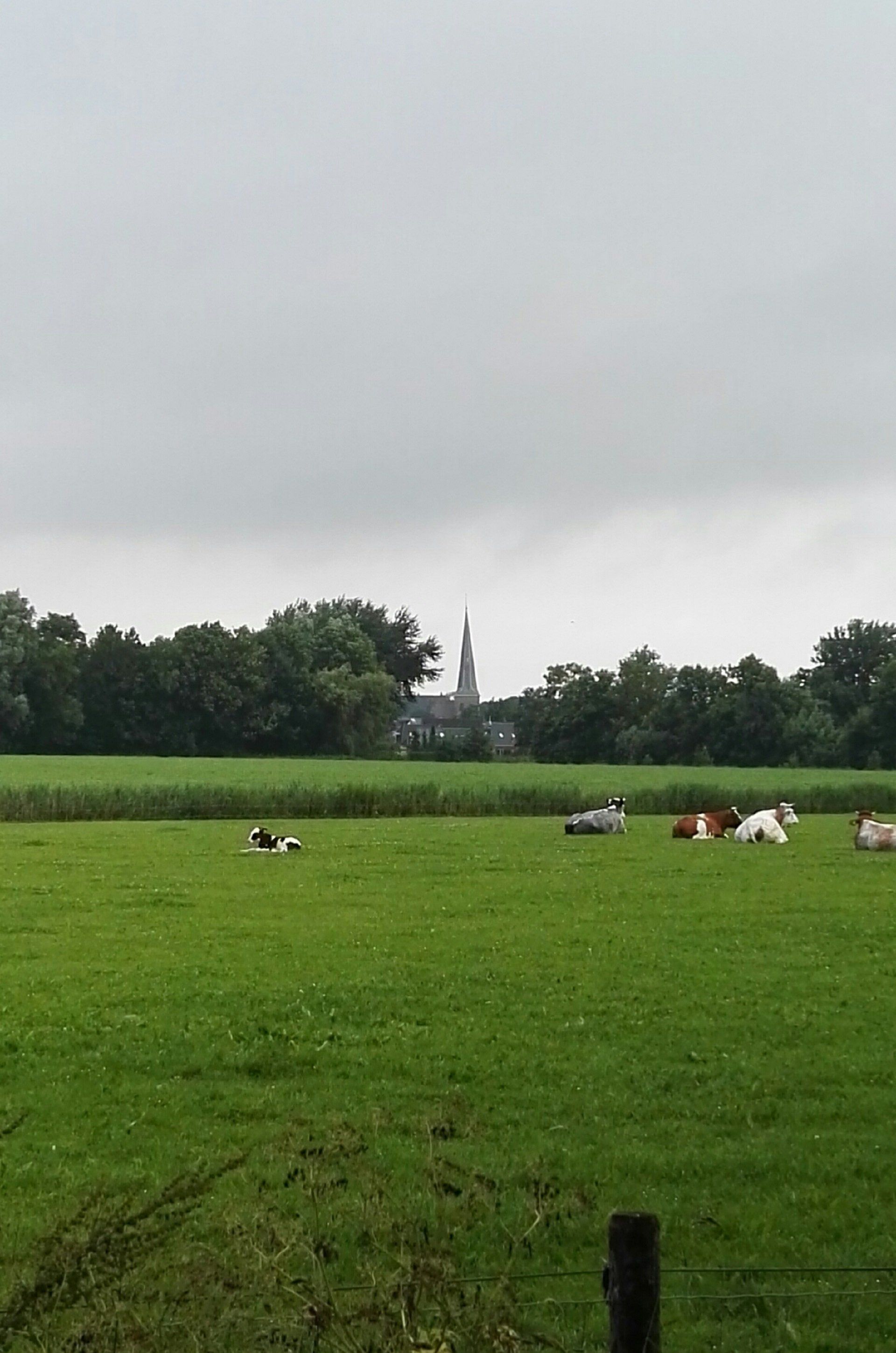 Uitgestrekt Fries landschap rondom Holwert met ruimte, weilanden en kleine dorpen nabij Nij Bonga