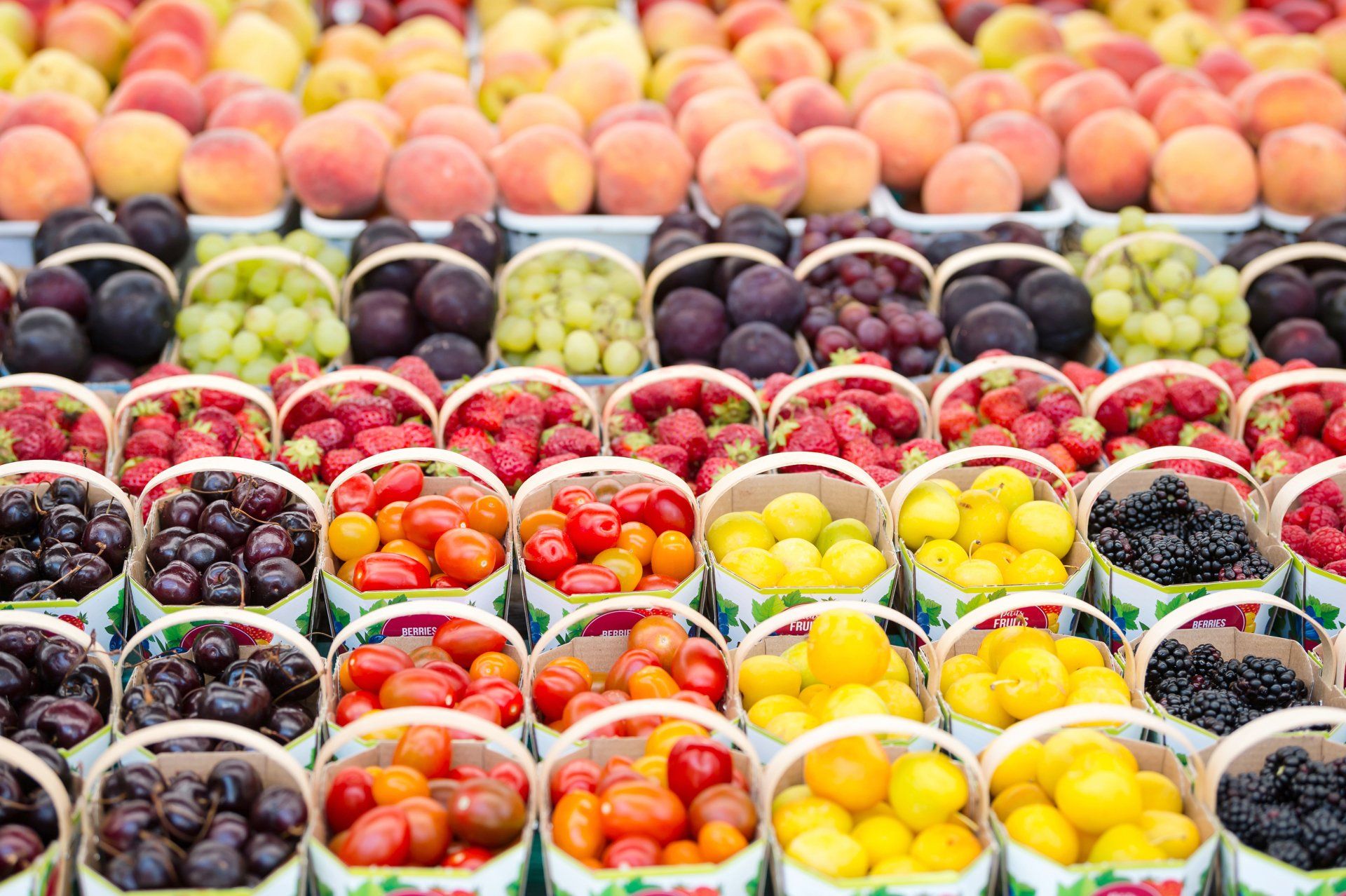 Bespaar geld door je eten in te vriezen