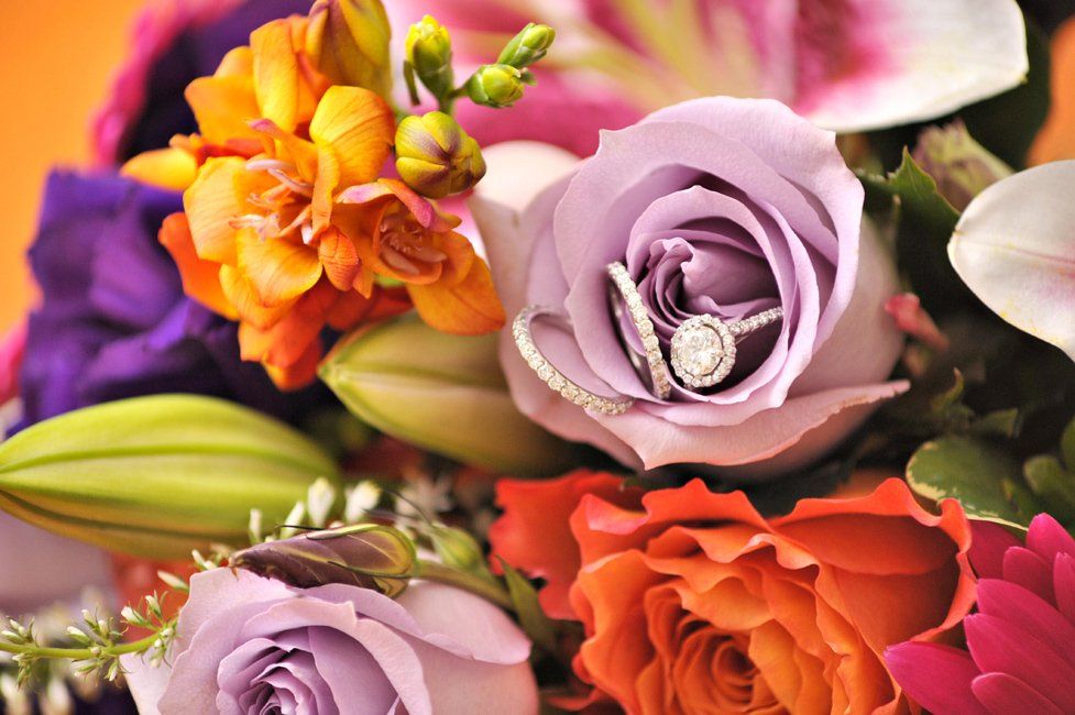 Wedding Photographer Chesterton, IN